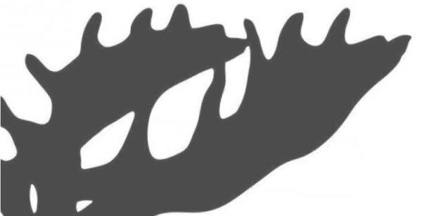 Gewerblicher Schießleiter